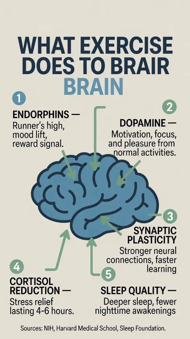 Brain Benefits of Exercise