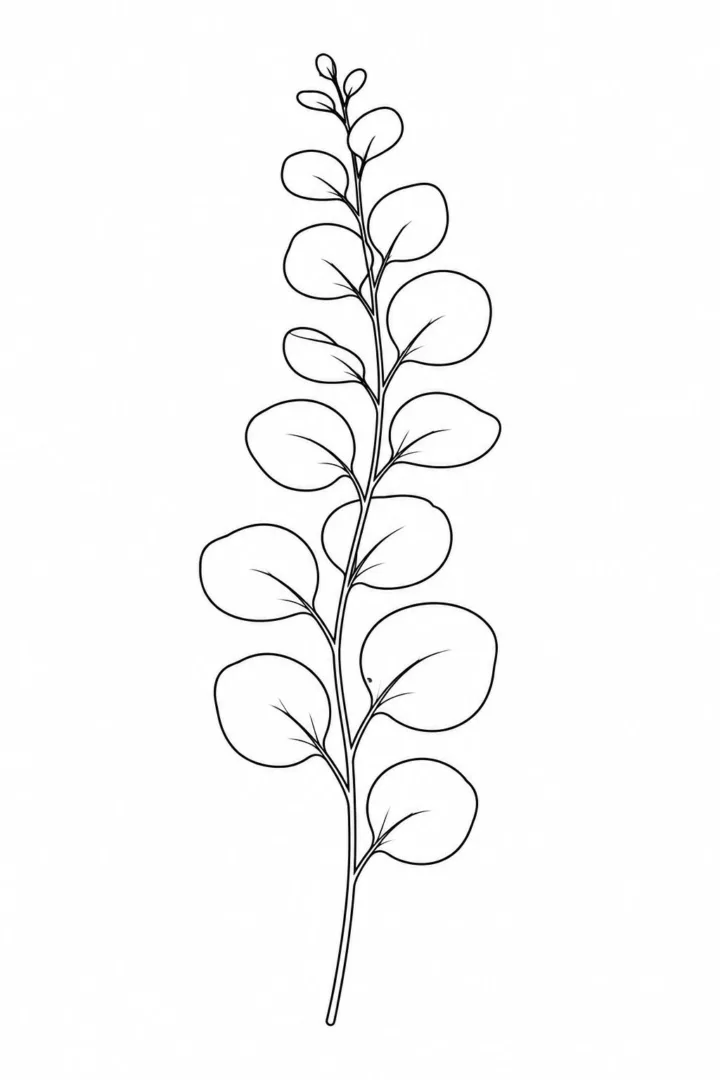 Eucalyptus Sprig