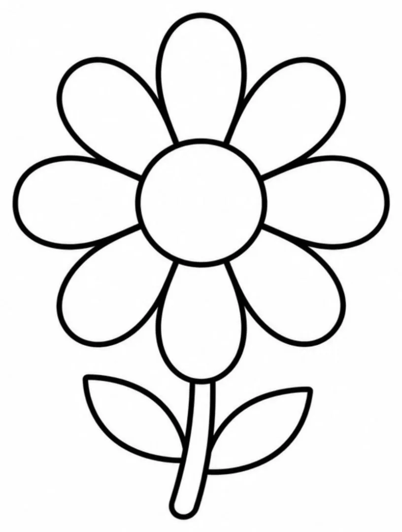 Daisy Flower