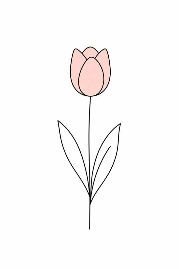 Single Tulip