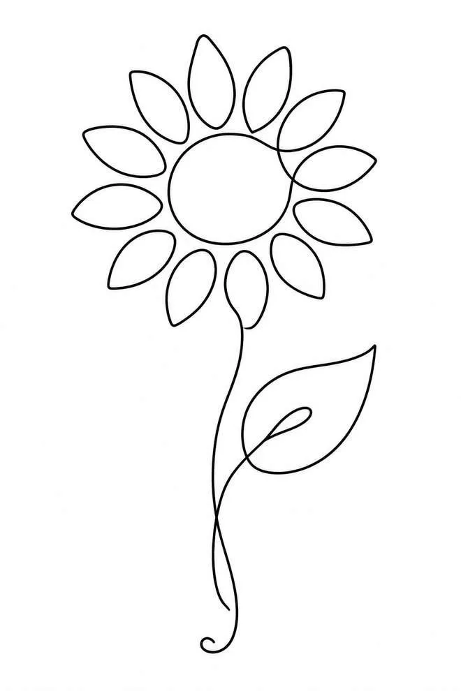sunflower pencil drawing