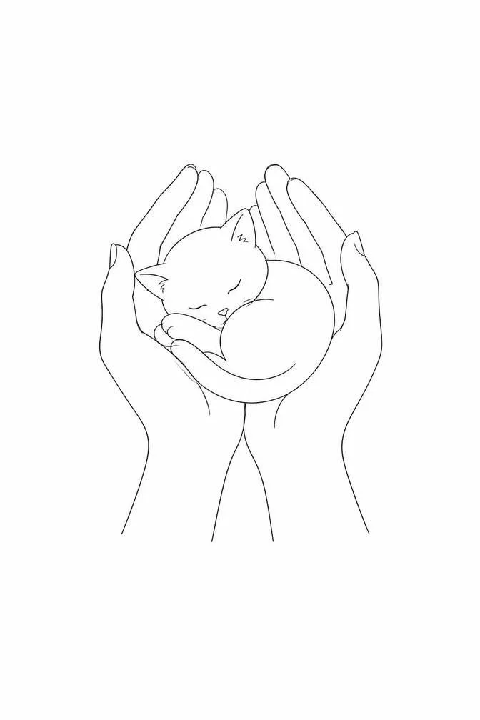 elegant cat drawing