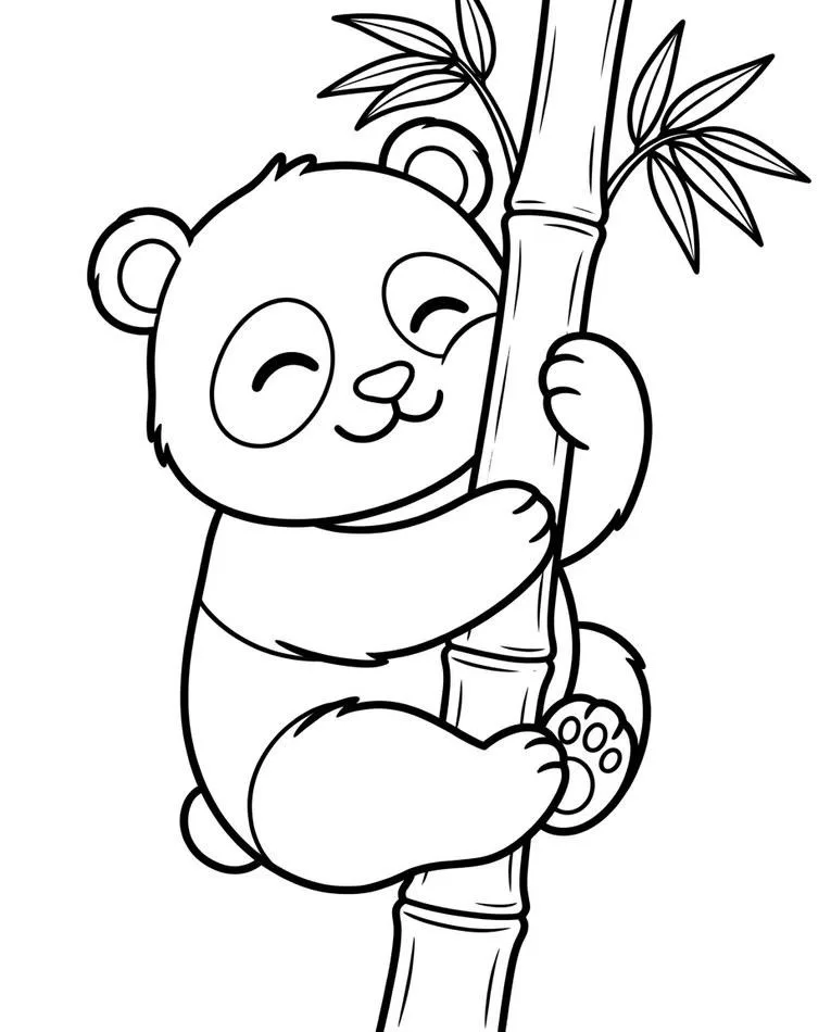 panda drawing