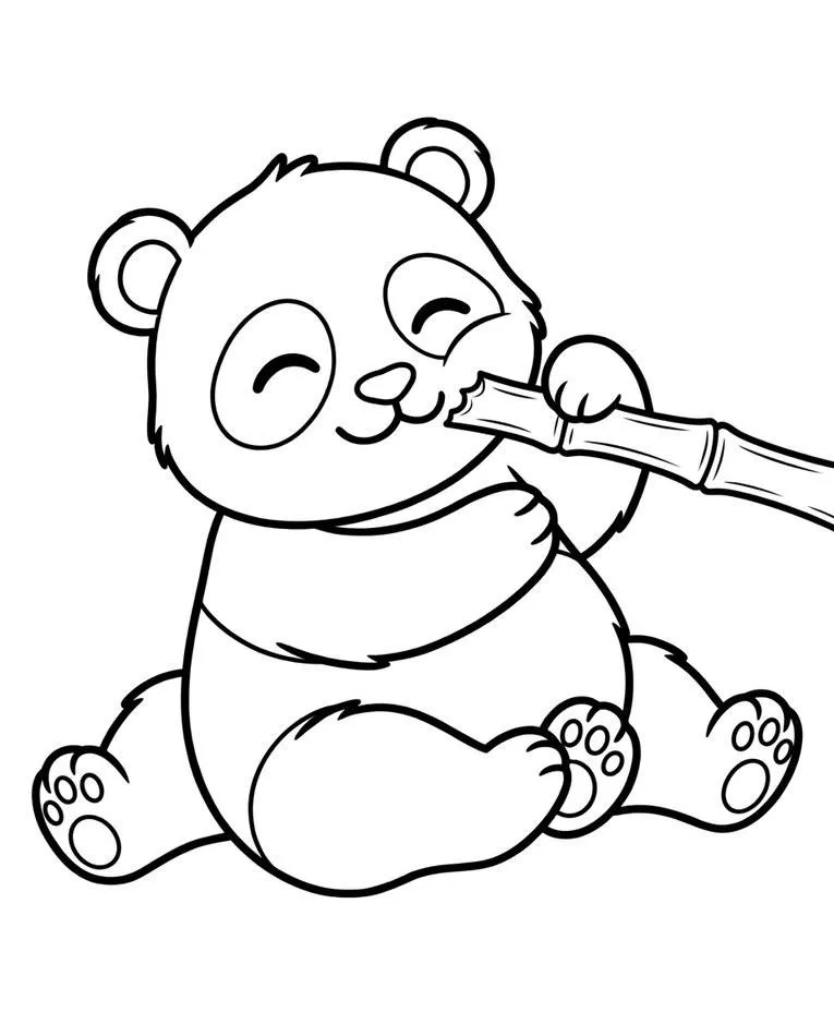 panda drawing