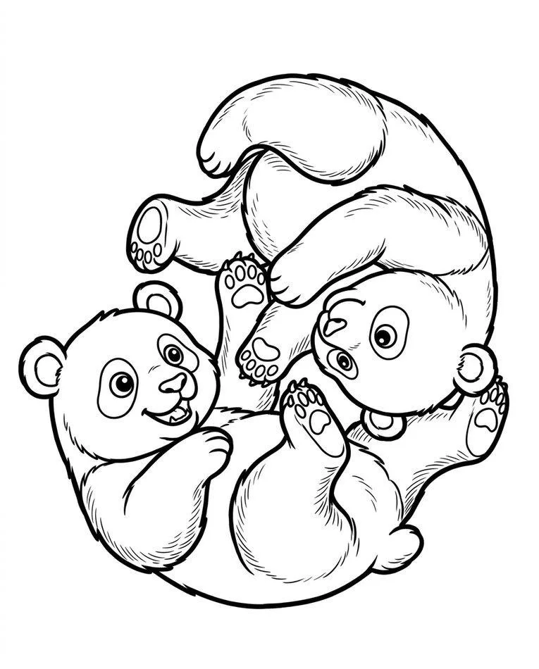 panda drawing