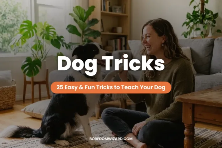 Dog tricks featured image: a smiling woman getting a high five from her border collie in a sunny living room