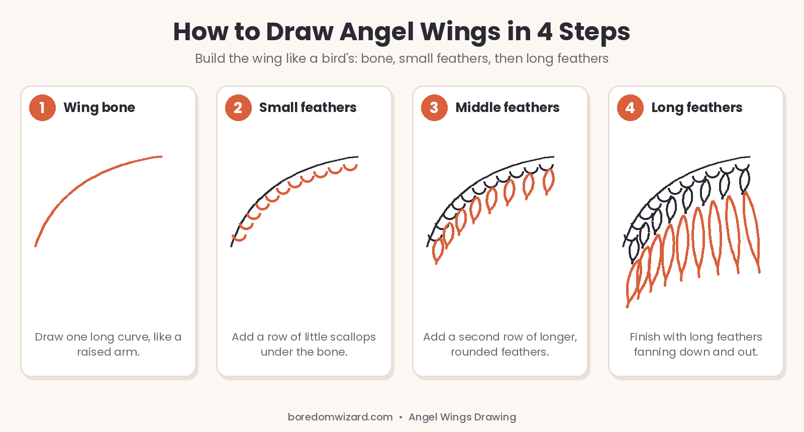 How to draw angel wings in 4 steps: the wing bone, small feathers, middle feathers and long feathers