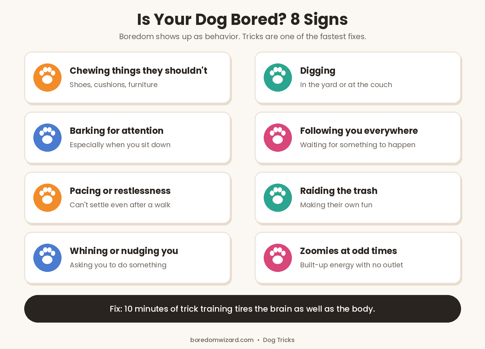 Signs your dog is bored: chewing, digging, barking for attention, following you, pacing, raiding the trash, whining and zoomies