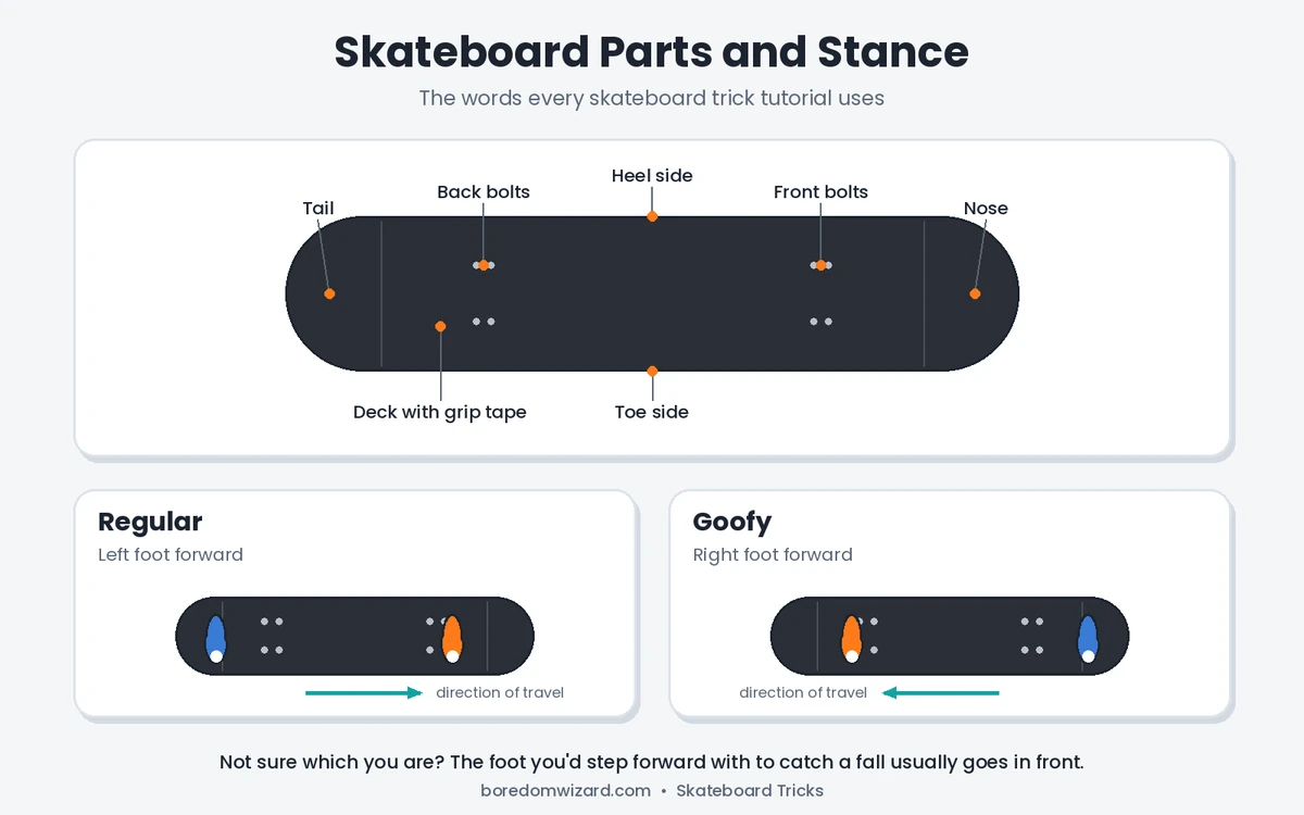 Skateboard parts and stance diagram showing nose, tail, bolts, toe side, heel side, and regular versus goofy stance